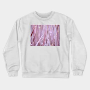 All Aflame Crewneck Sweatshirt